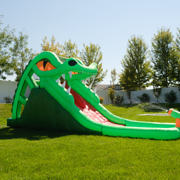 Dragon's Lair Waterslide